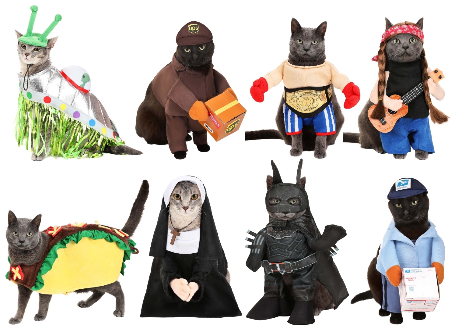 Funny Cat Costumes