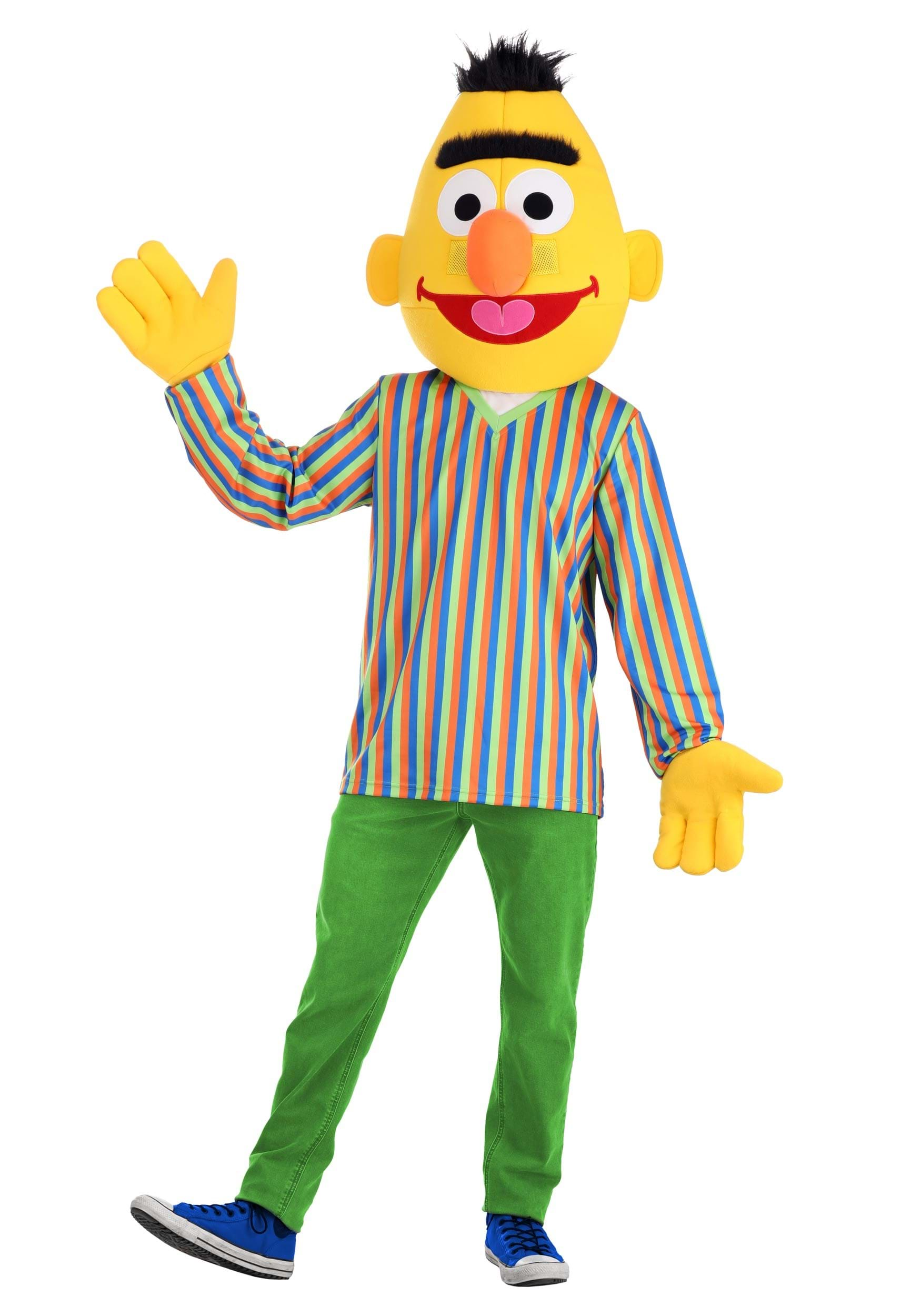 Bert Costume