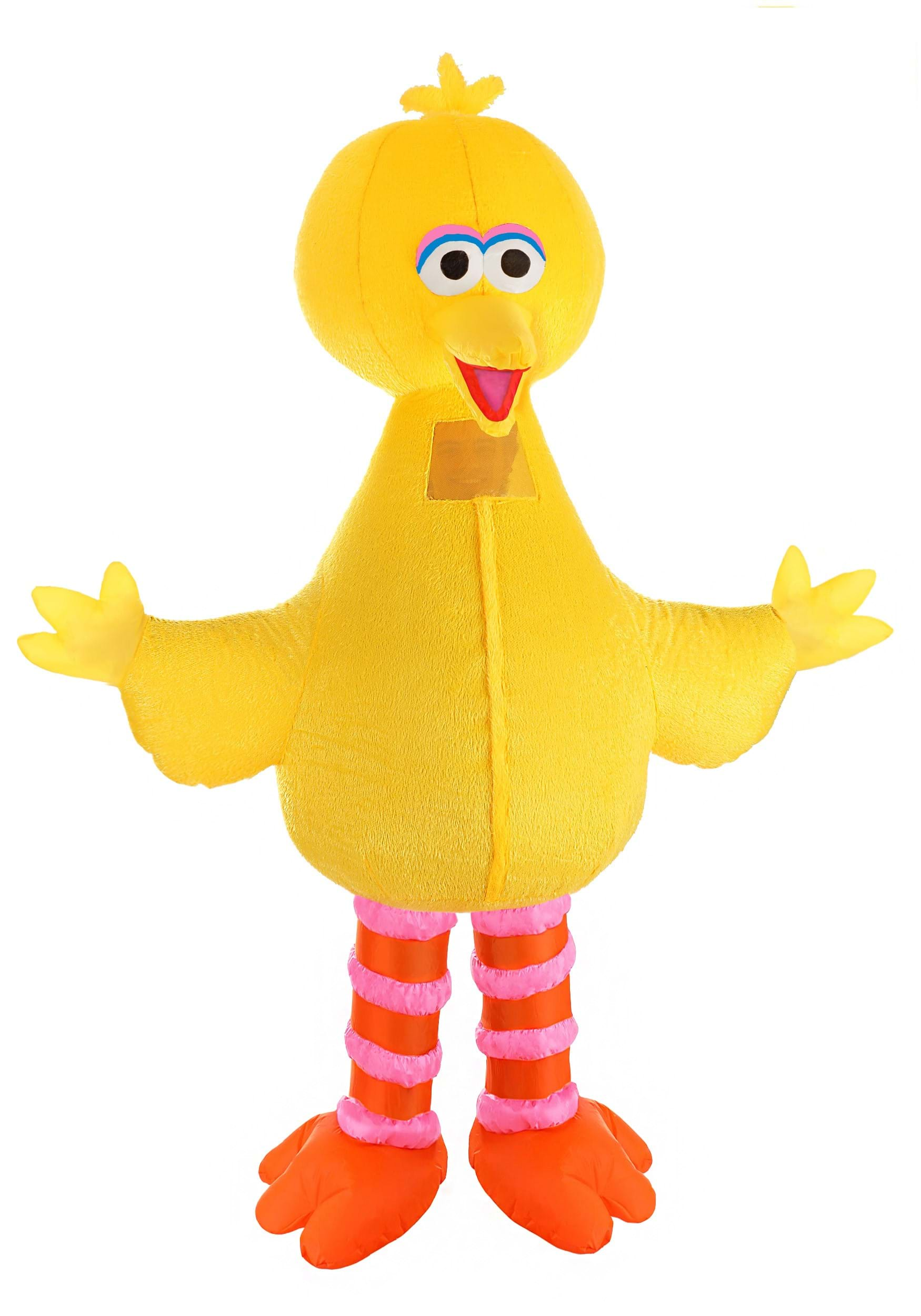 Big Bird Costume