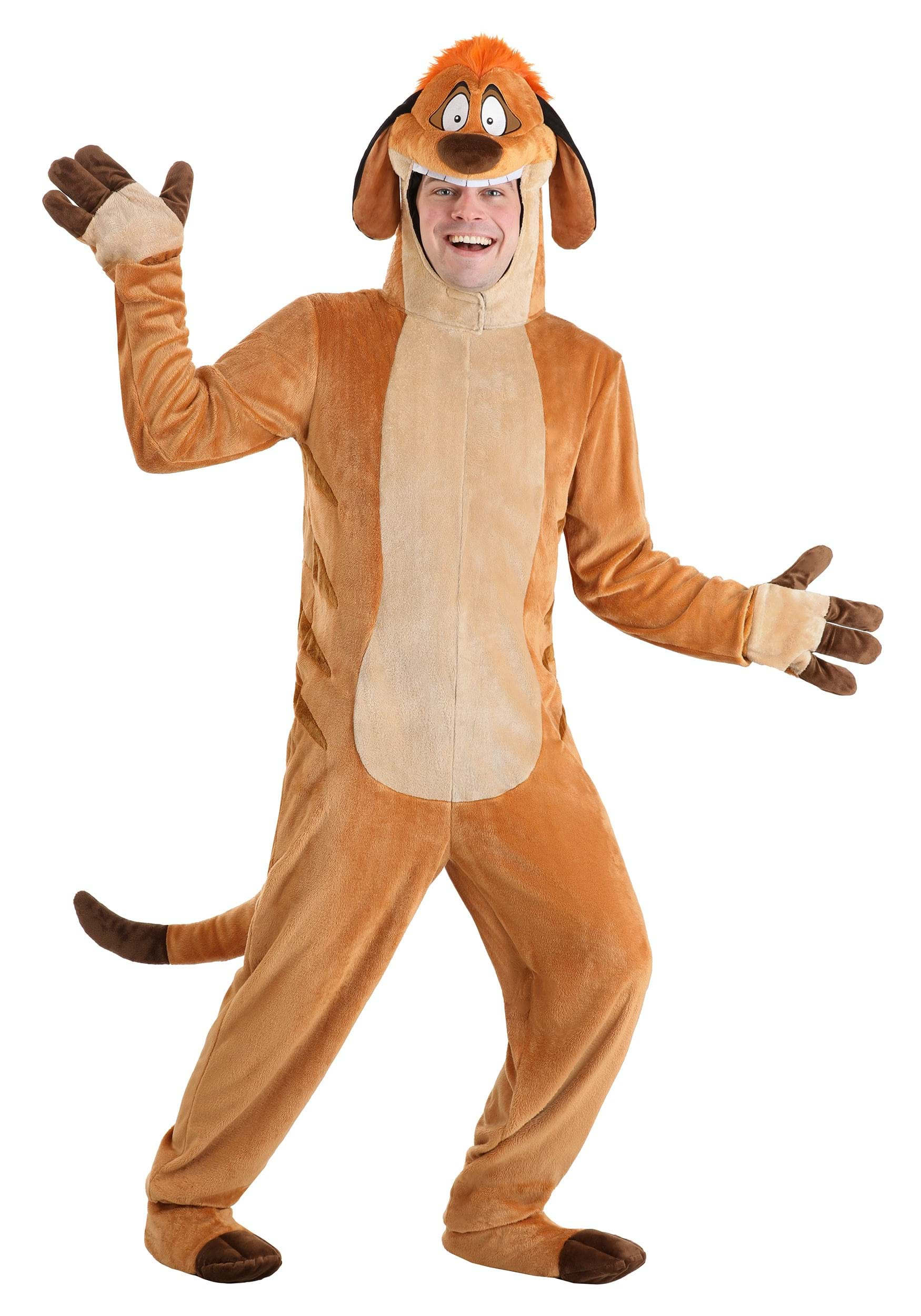 Timon Costume