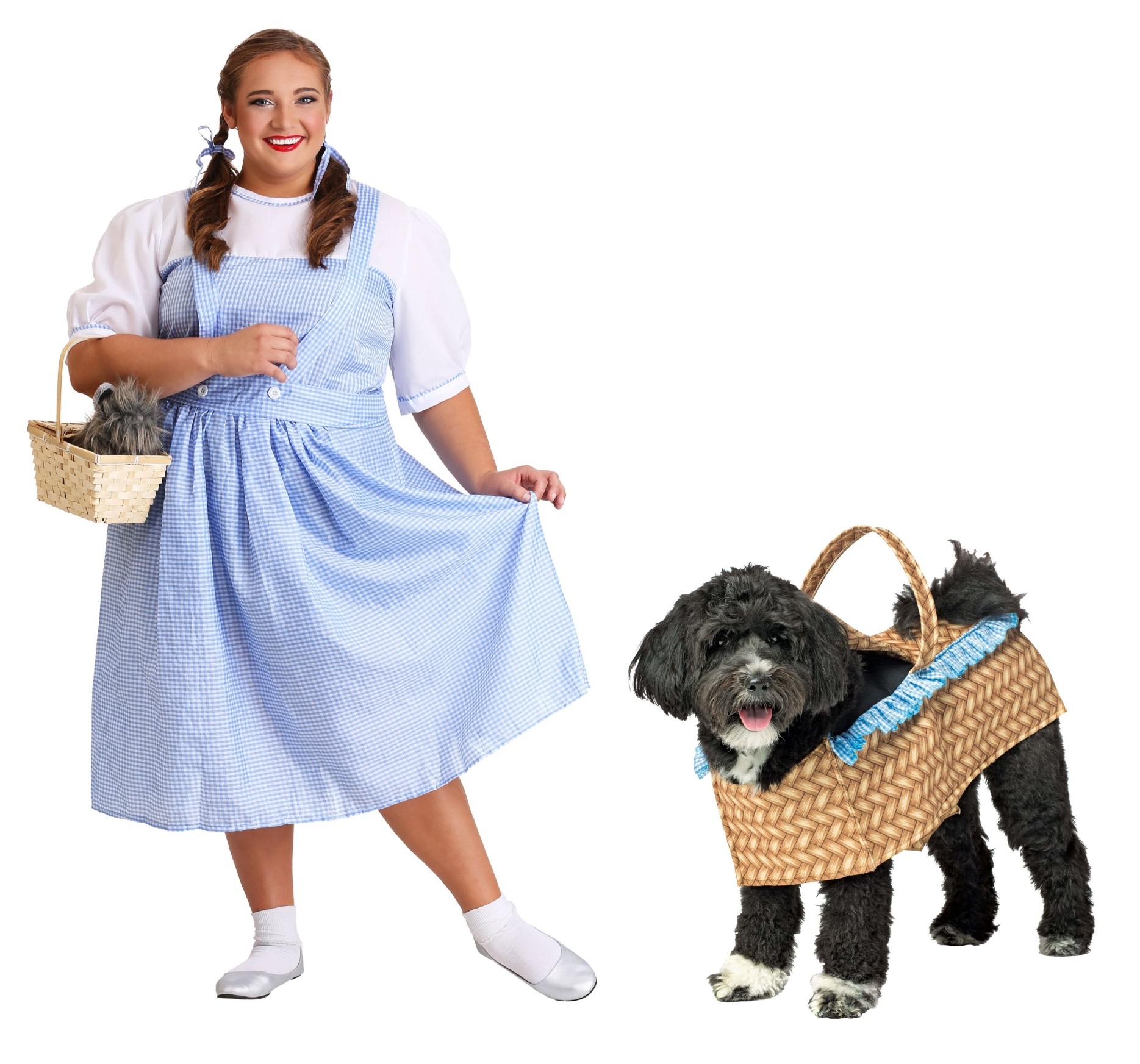 Wizard of Oz Costumes for Pets and People