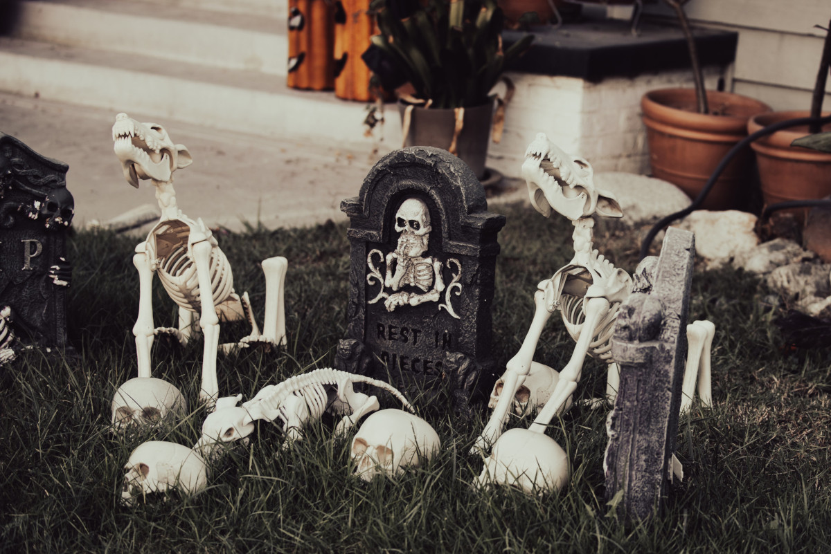 Skeleton Yard Decorations