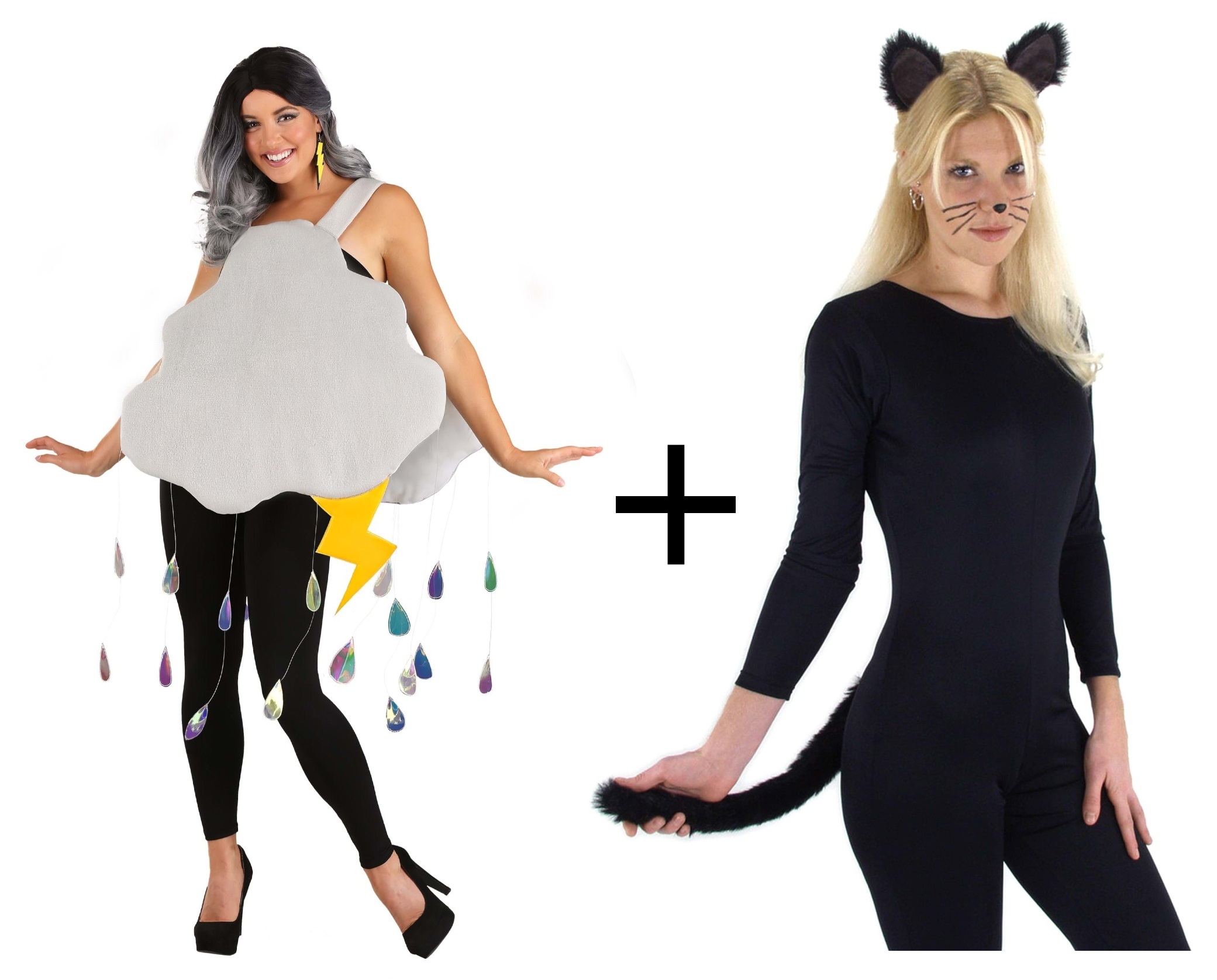 It's Raining Cats and Dogs Costume