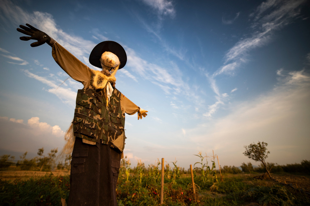 DIY Scarecrow