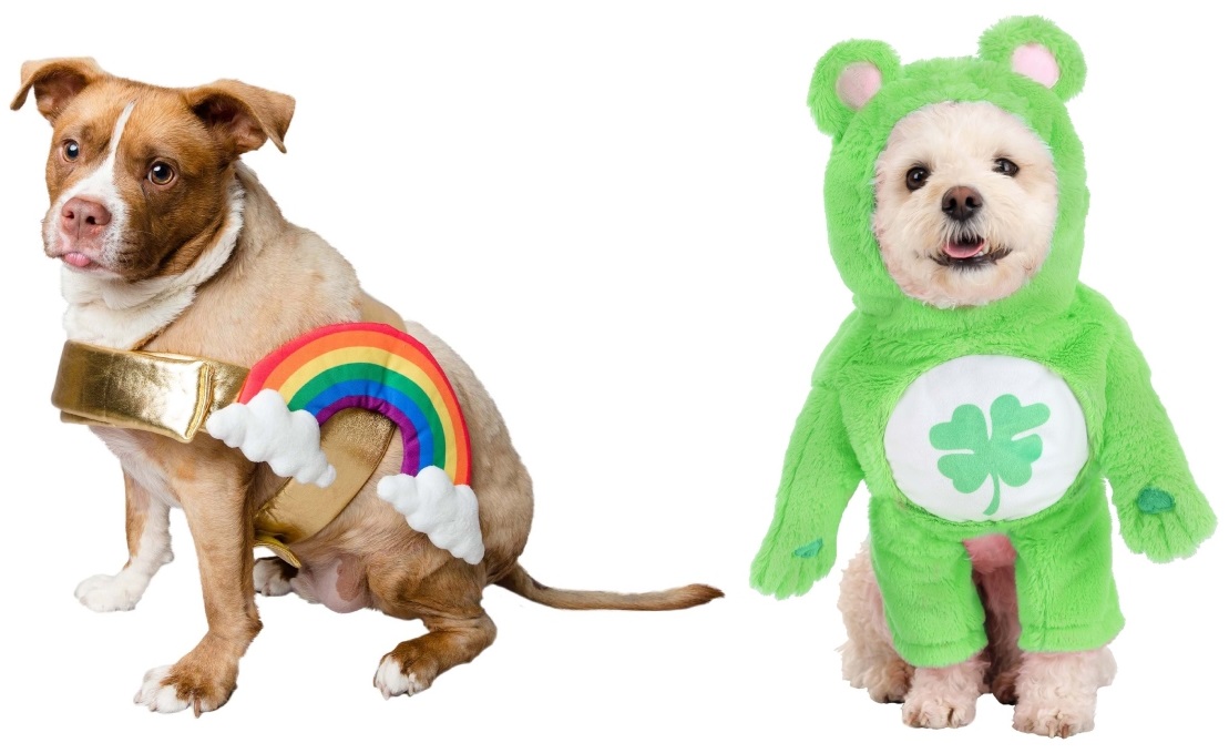 St. Patrick's Day Pet Costumes