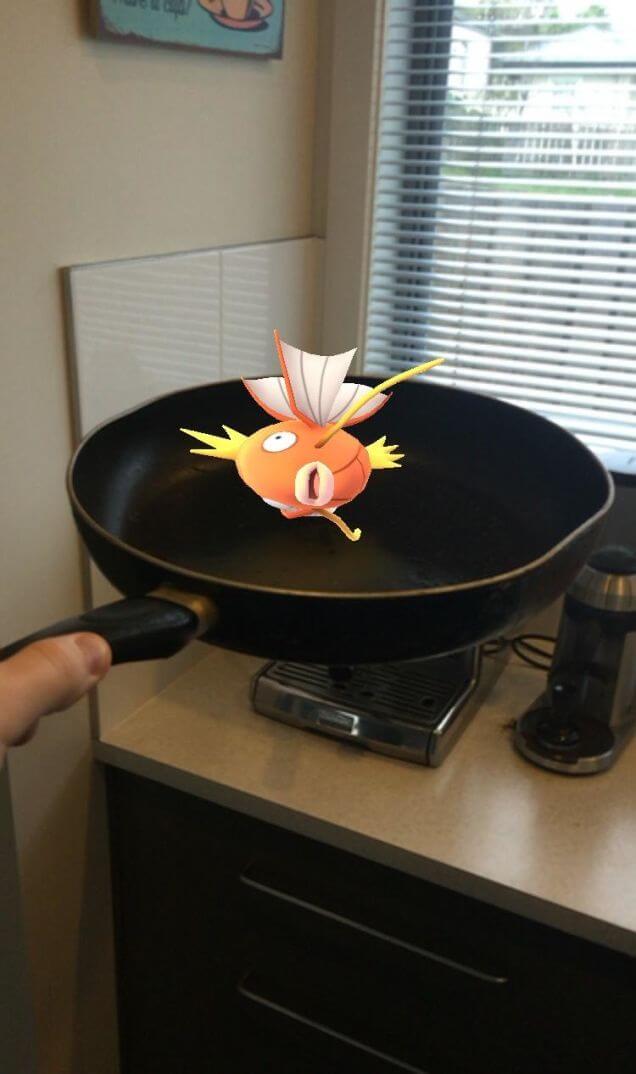 Pokemon Go Cooking Magikarp
