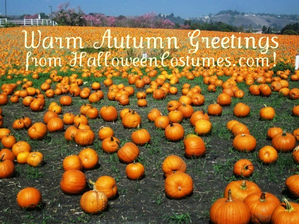 Warm Autumn Greetings from HalloweenCostumes.com