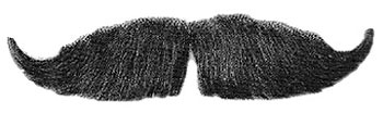 mustache