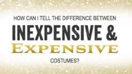 INexpensive vs Espensive Costumes