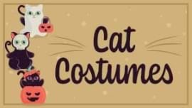 Cat Halloween Costumes
