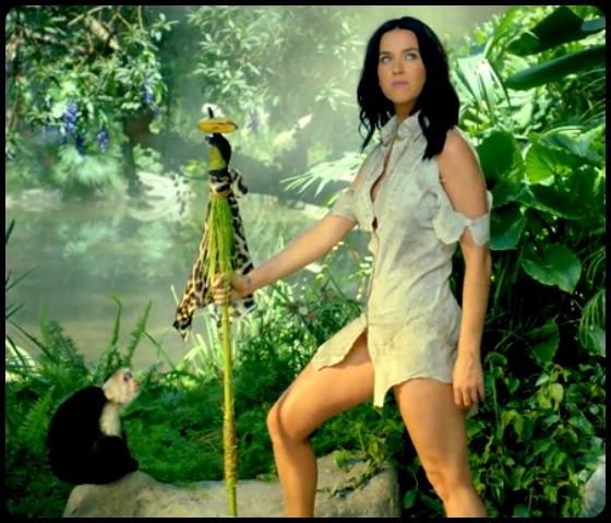 Reference Photo Katy Perry Spear