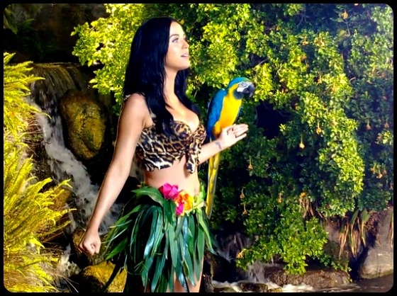 Roar Katy Perry Video Still with parrot