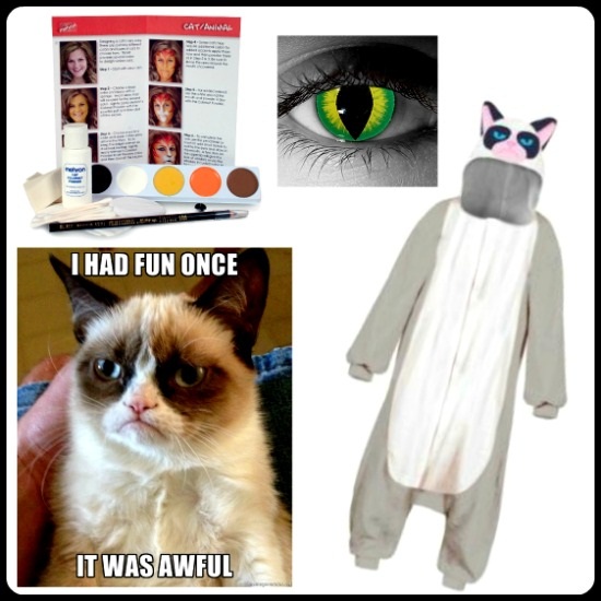 DIY Grumpy Cat Costume Idea