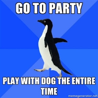 socially awkward penguin meme