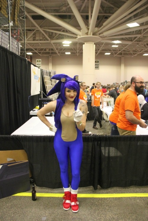Sonic the Hedgehog