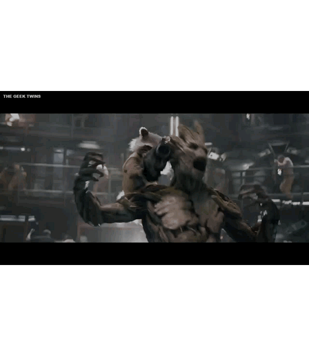Rocket and Groot GIF