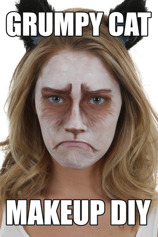 Grumpy Cat Makeup DIY