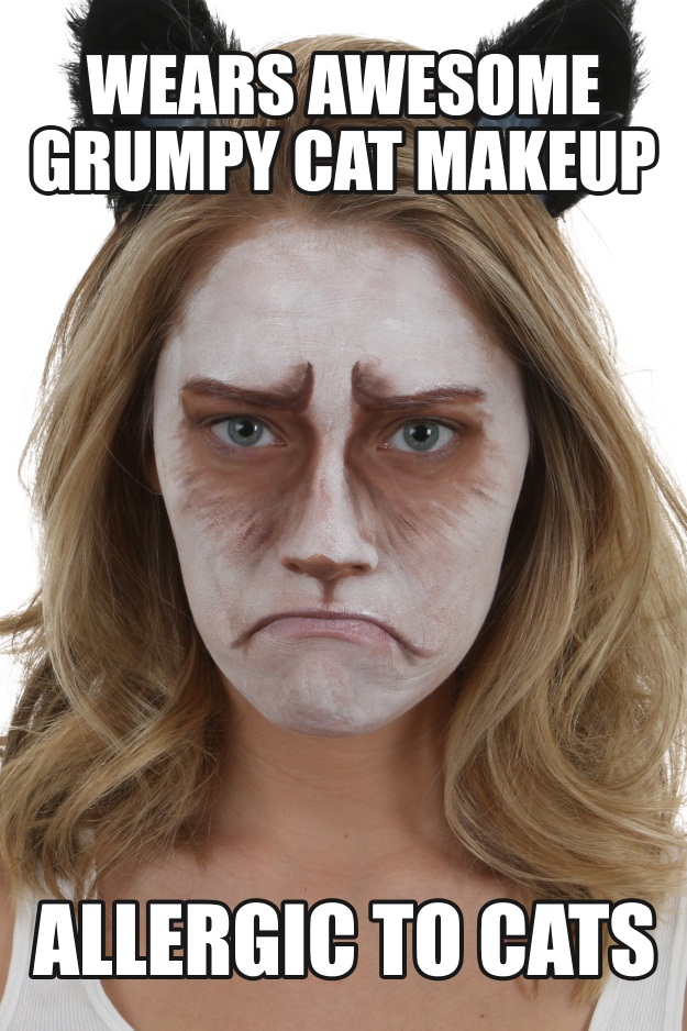 Grumpy Cat Makeup Tutorial Meme