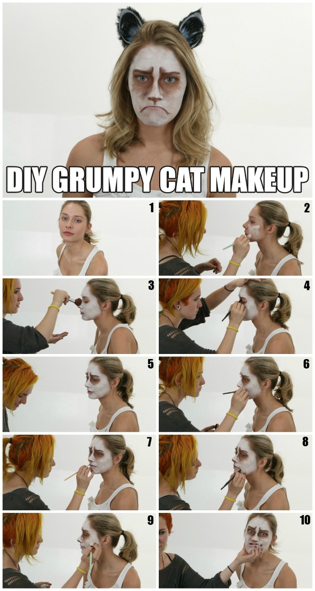 How to do Grumpy Cat Makeup