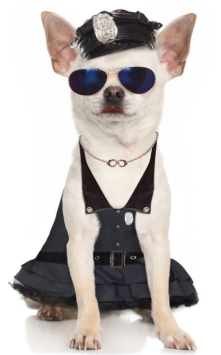 pretty officer chihuahua pet costume