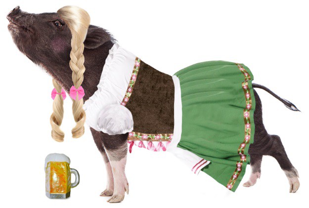 Pot Bellies Up German Beer Girl Pig Costume