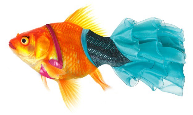 20+ Coolest Fish Costumes You Can Make for Halloween