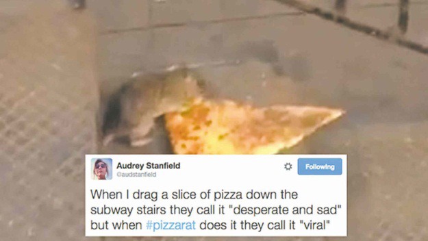 Pizza Rat Twitter Meme