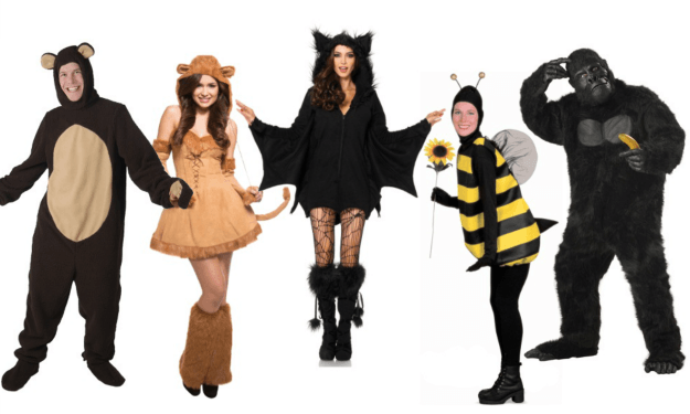Plus Size Animal & Insect costumes.png