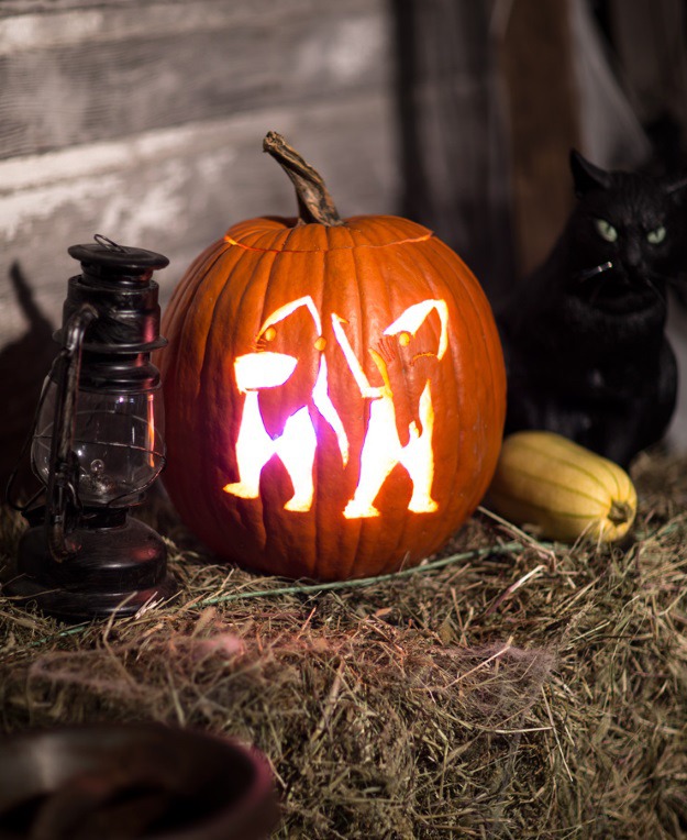 shark pumpkin carving patterns