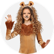 Lion Costumes