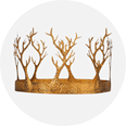 Game of Thrones Accessories