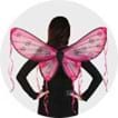 Fairy Accessories