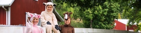 Animal Costumes