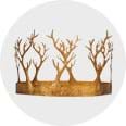 Storybook & Fairytale Accessories