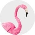 Flamingo Accessories