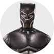 Black Panther Costumes