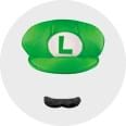 Luigi Accesories
