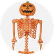 Poseable Skeletons
