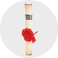 Political Costume Accessories