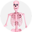 Giant Skeleton Decorations