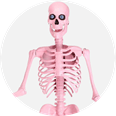 Halloween Decorations