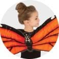 Butterfly Accessories