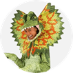 Dilophosaurus Costumes