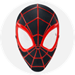 Spiderman Accessories