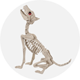 Halloween Decorations