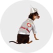 Wizard of Oz Pet Costumes