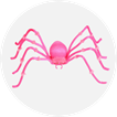 Spiders and Spider Webs
