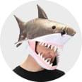 Shark Accessories