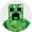 Minecraft Costumes & Accessories - HalloweenCostumes.com