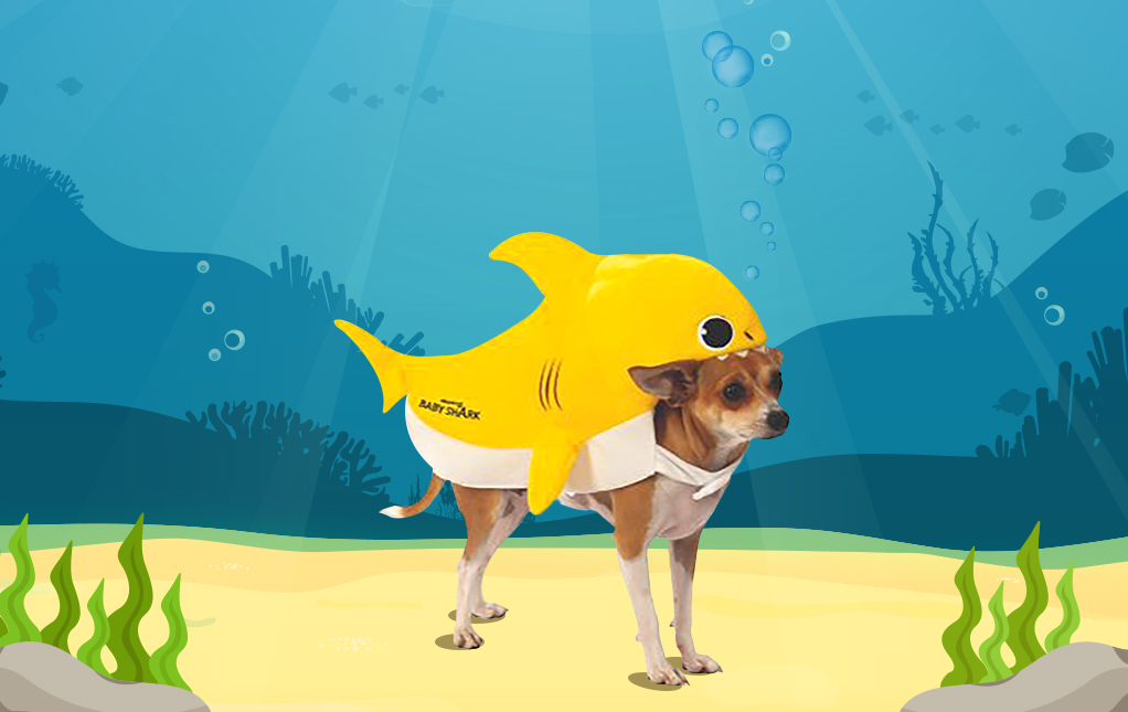 Baby Shark Dog Costume